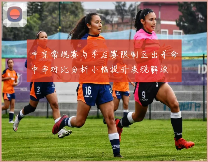 申京常规赛与季后赛限制区出手命中率对比分析小幅提升表现解读